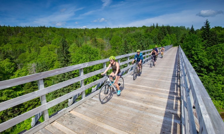 five riders bike along a long wooden bridge