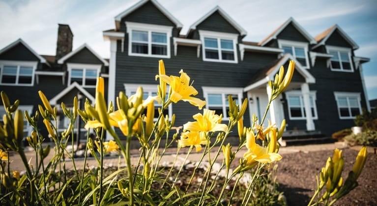 Yellow daffodils bloom outside a large inn
