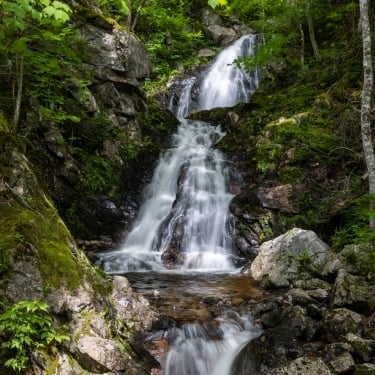 Corney Brook Falls and Trail