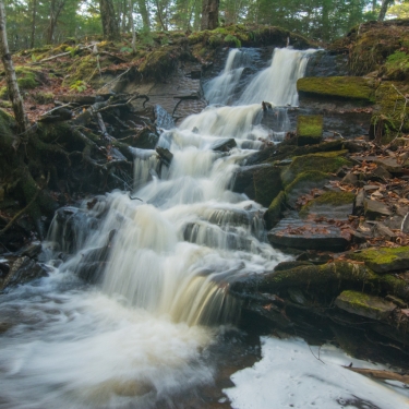 Embree's Brook Falls