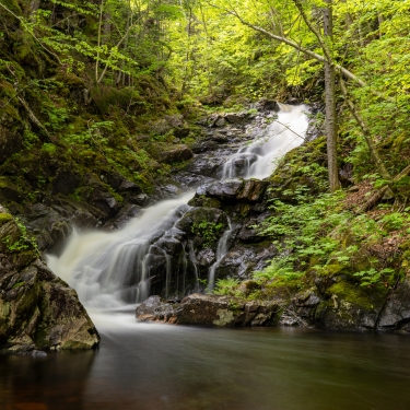 MacIntosh Brook Trail 2