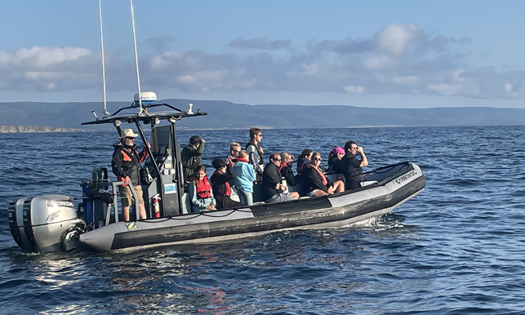 Capt. Mark Zodiac Adventures